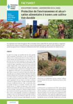 Protection de l'environnemen et sécurisation alimentaire à travers une cultivation durable
