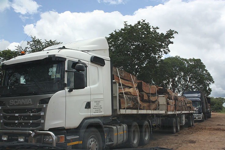 Vom Tiefseehafen in Walvis Bay wird das Holz nach Asien und dort vor allem nach China transportiert.