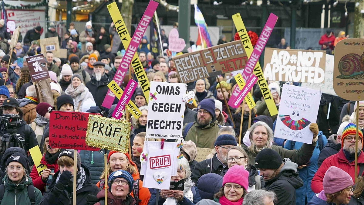 Menschen demonstrieren in Hamburg gegen die AfD