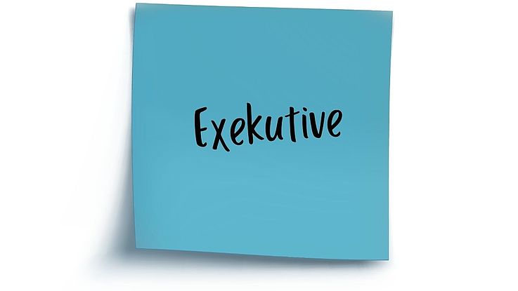 Definition Exekutive