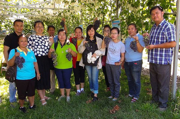 Die erste Gruppe aus Laos ist zur Fortbildung im Berufsbildungszentrum Pingdu eingetroffen. Im Weingarten informiert sie sich über die Kultivierung der Reben