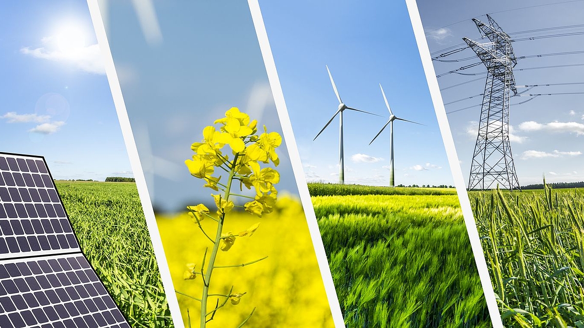 Zu sehen sind vier nebeneinanderstehende Fotos mit verschiedenen Möglichkeiten von erneuerbaren Energien, wie Windräder oder Raps. 