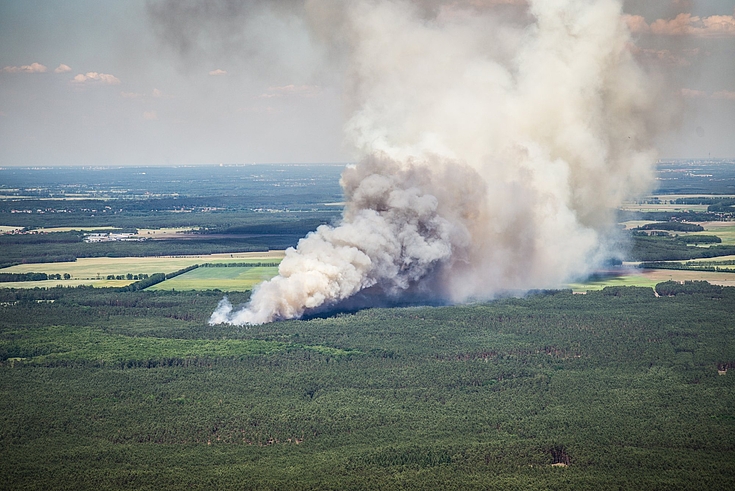Die Waldbrandgefahr nimmt bei anhaltender Hitze und Trockenheit zu. 